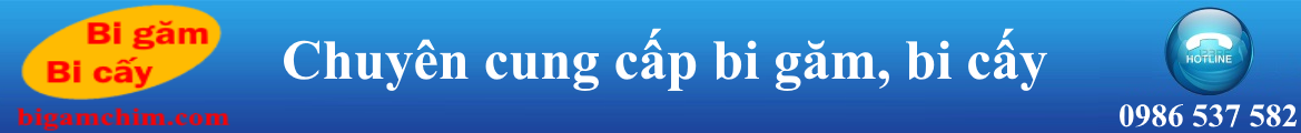 bi gam, bi cay, bi găm, bi cấy, bi đá thạch anh, bi thạch anh công nghiệp, bi 6mm, bi 7mm, bi 8mm, bi 9mm bi gam, bi cay, bi găm, bi cấy, bi đá thạch anh, bi thạch anh công nghiệp, bi 6mm, bi 7mm, bi 8mm, bi 9mm